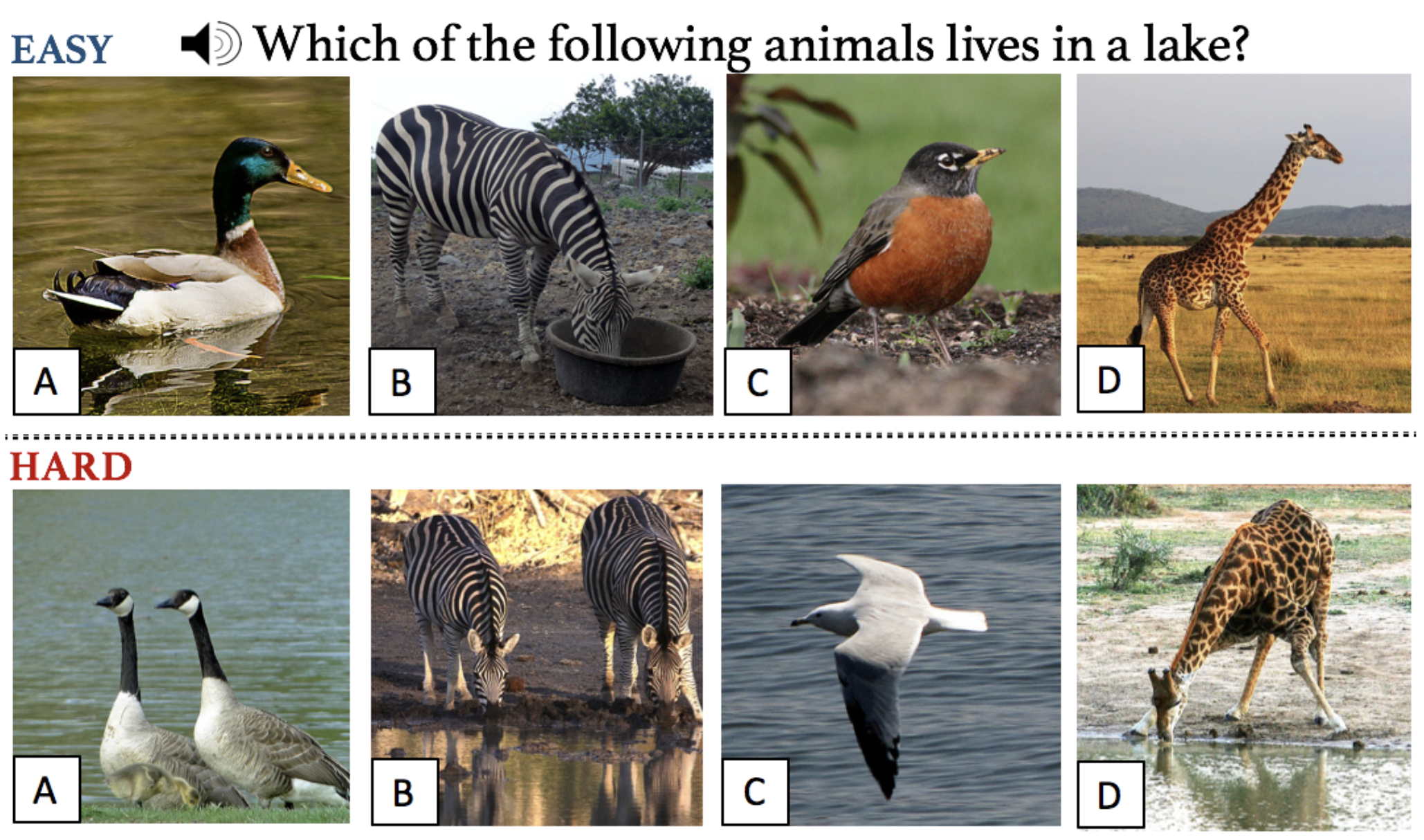 visual assessments